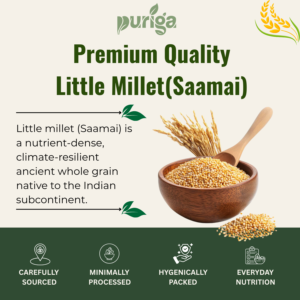 little millet (samai)