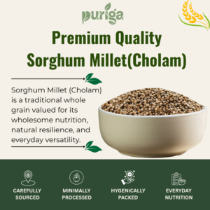 sorghum (vellai solam)