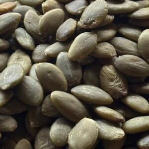 pumpkin seeds