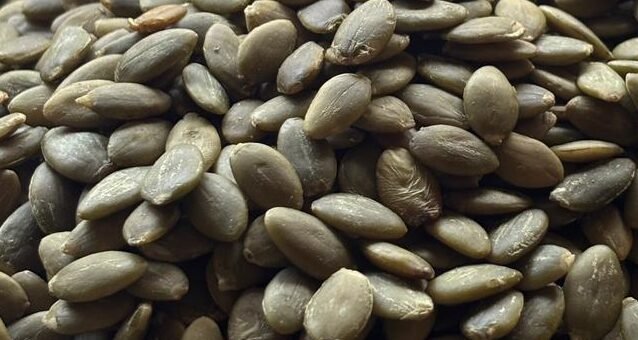 pumpkin seeds pumpkin seeds