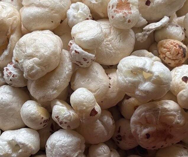 makhana (fox nuts) makhana (fox nuts)