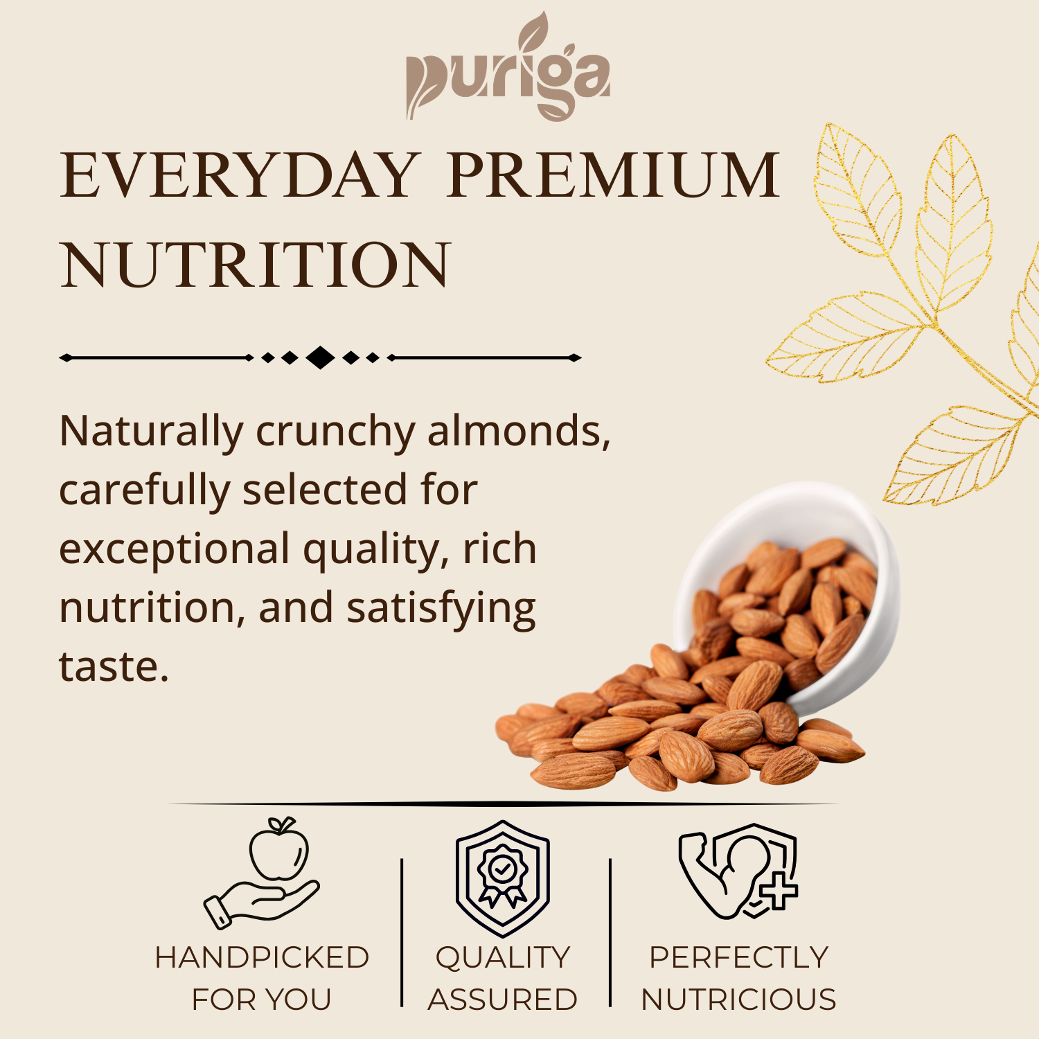premium almonds (badam) premium almonds (badam)
