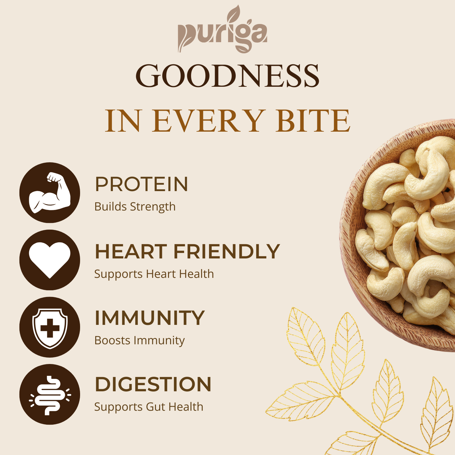 cashew nuts – premium cashew nuts – premium