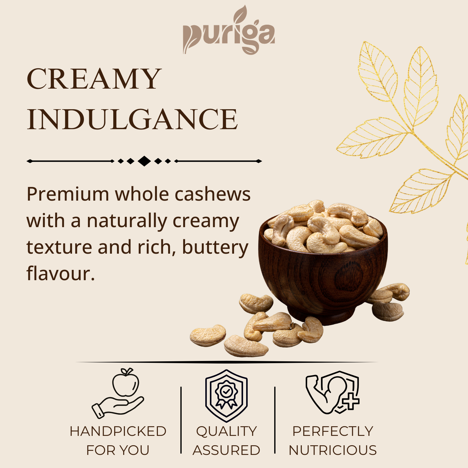 cashew nuts – premium cashew nuts – premium