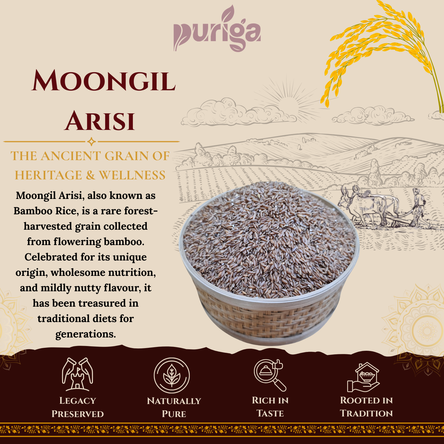 moongil arisi (bamboo rice) moongil arisi (bamboo rice)
