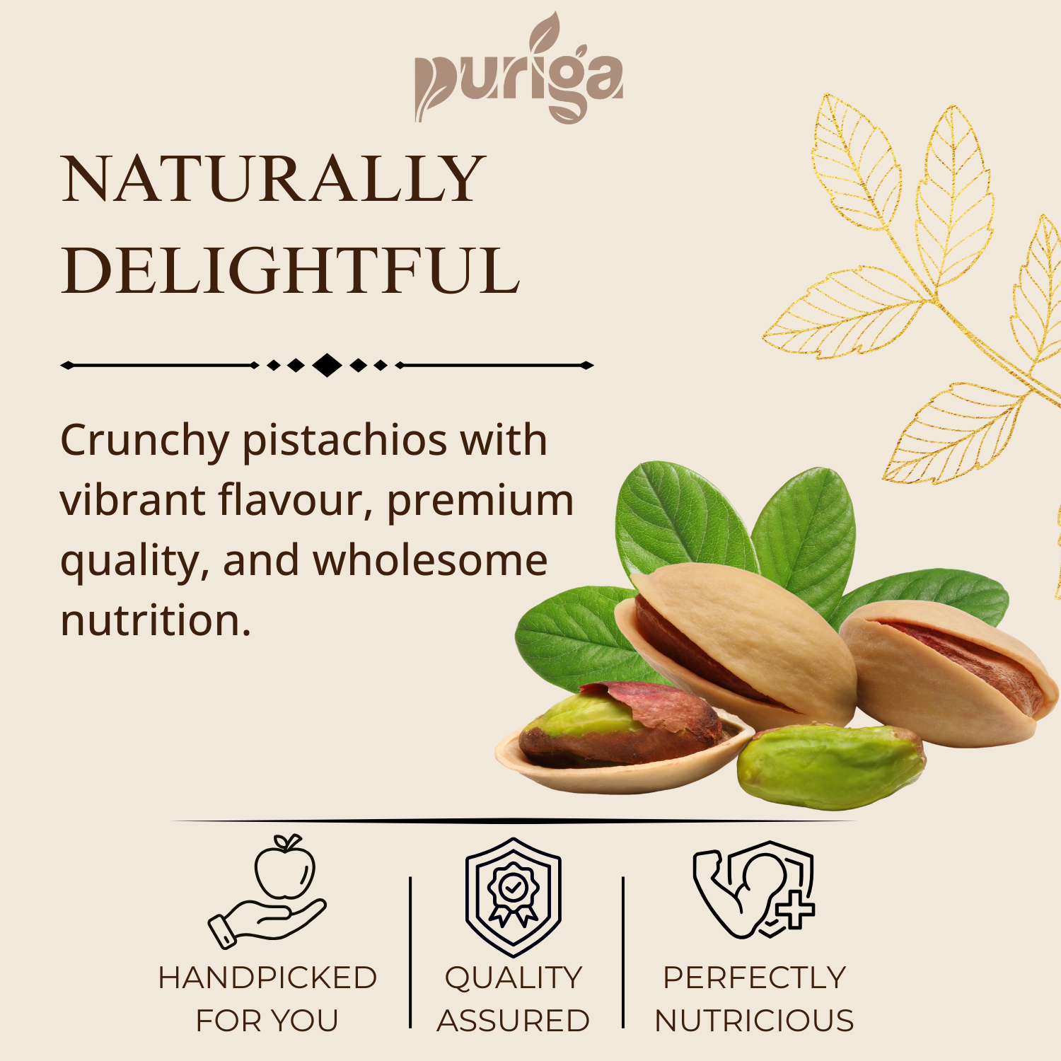 pistachios – premium (salted, with shell) pistachios – premium (salted, with shell)
