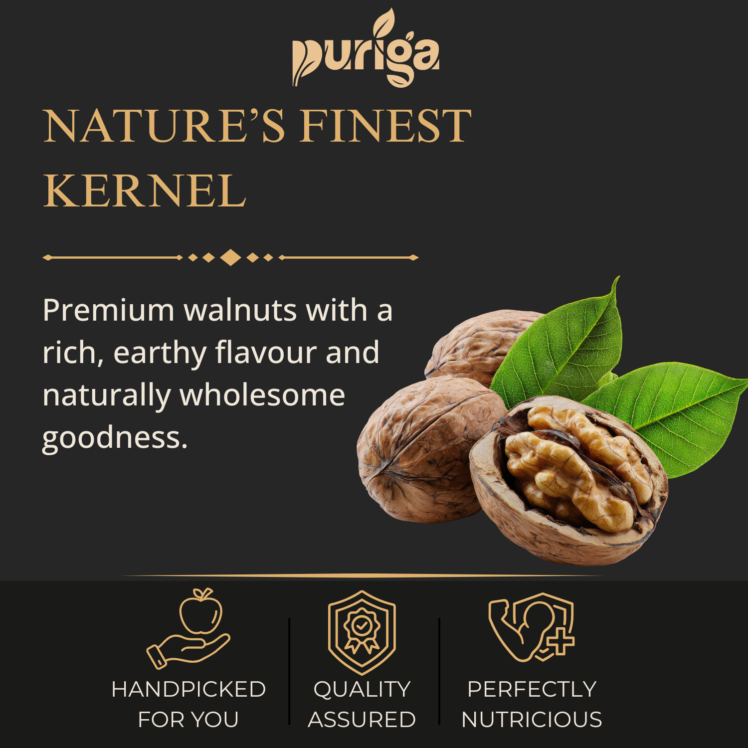 walnuts – premium walnuts – premium